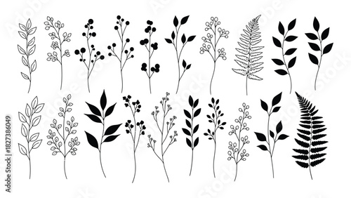 Assorted botanical silhouettes and outlines isolated on white background, Vector