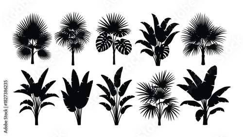 Tropical plant silhouettes collection isolated on white background, Vector
