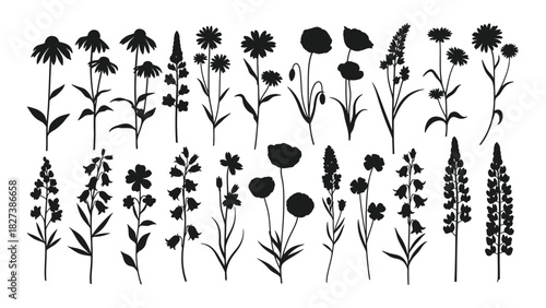 Diverse wildflower and garden flower silhouettes collection isolated on white background, Vector