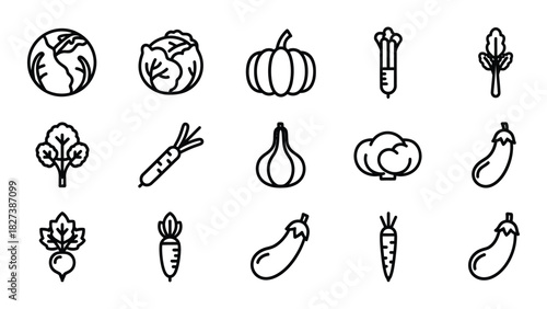 Vegetable silhouette line icons set isolated on white background, Vector