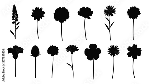 Assorted flower silhouettes isolated on white background, Vector