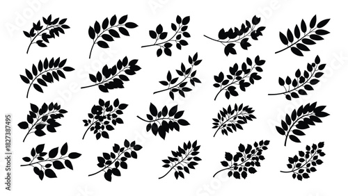 Assorted leaf branch silhouettes vector set isolated on white background, Vector