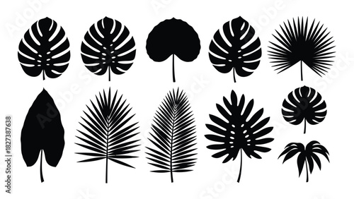 Set of tropical leaf silhouettes isolated on white background, Vector