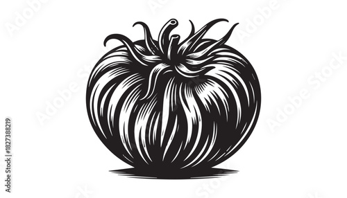 black color tomato silhouette vector illustration, solid white background
