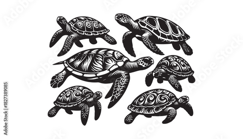 black color turtle animal silhouette vector illustration, solid white background