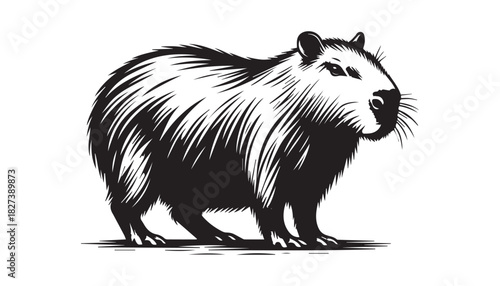 black color wild animal silhouette vector illustration, solid white background