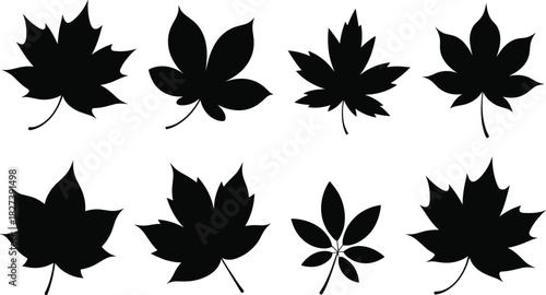 “Set of various leaf silhouettes in black vector style showing diverse botanical shapes for design, nature illustrations, decoration, and graphic artwork”