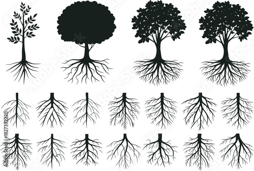 Black and white illustration of trees and root systems