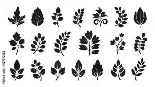 Collection of botanical leaf silhouettes isolated on white background, Vector