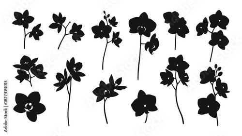 Orchid flower silhouettes collection isolated on white background, Vector