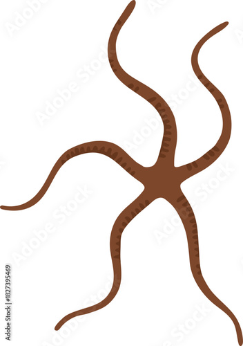 Brittle star sea creature