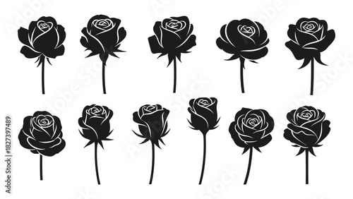 Rose silhouette collection isolated on white background, Vector