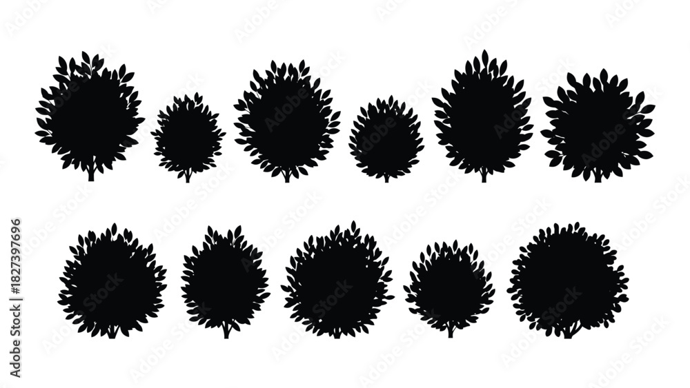 Fototapeta premium Set of tree and bush silhouettes isolated on white background, Vector