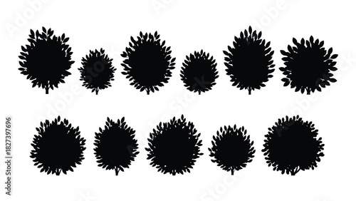 Set of tree and bush silhouettes isolated on white background, Vector