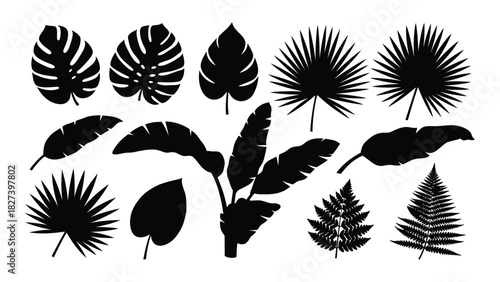 Tropical leaf silhouettes collection isolated on white background, Vector