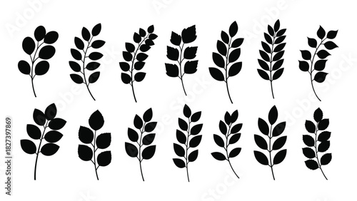 Collection of leaf silhouettes isolated on white background, Vector