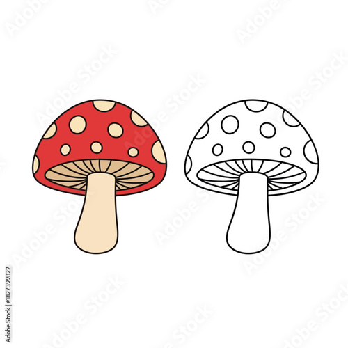 Colorful amanita muscaria mushroom illustration with a vibrant red cap and white spots, presented alongside a matching black outline drawing for children's coloring books and whimsical designs.