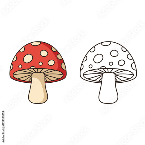 A captivating illustration featuring a red-capped mushroom with distinct white spots, presented in vibrant color and clear black line art outline, ideal for educational and creative projects.