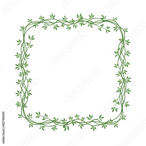 Organic green vine and leaf border frame, a natural and elegant botanical decoration for design projects, invitations, and rustic-themed graphic elements on a clean white background.