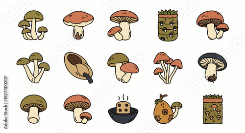 A collection of various illustrated mushrooms showcasing different shapes, sizes, and colors, perfect for culinary or botanical themes.