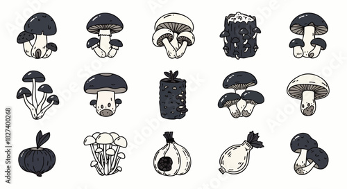 An illustrated collection showcases various mushroom types, featuring diverse shapes, sizes, and styles, perfect for educational or decorative purposes.