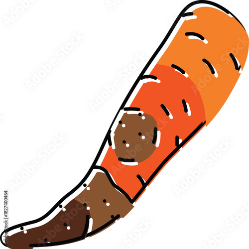 Stylized Illustration of a Carrot Segment with Orange and Brown Tones and Black Outline on Transparent Background