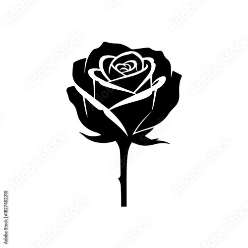 Elegant Black and White Rose Silhouette A Timeless Symbol of Love and Beauty