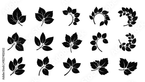 Collection of botanical leaf silhouettes isolated on white background, Vector