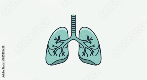 Illustration of human lungs featuring bronchi and alveoli for educational science and medical understanding.
