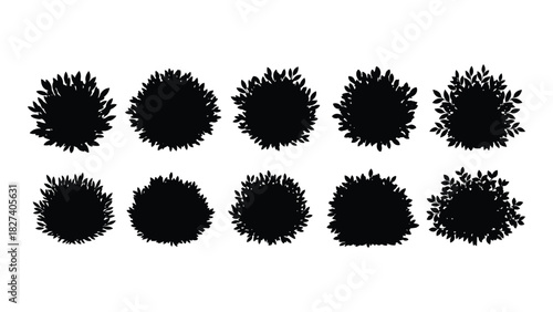 Set of various bush silhouettes isolated on white background, Vector