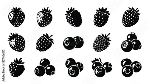 Assorted berry silhouettes collection isolated on white background, Vector