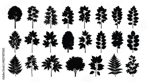 Collection of tree and leaf silhouettes isolated on white background, Vector