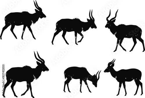 Antelope silhouette vector, grazing walking standing poses, wild horned animal clipart, black wildlife graphic, isolated posture design