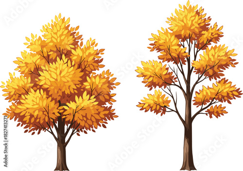 Autumn trees with yellow-orange foliage in two cartoon variants, dense and open canopy comparison, seasonal botanical illustration, white background