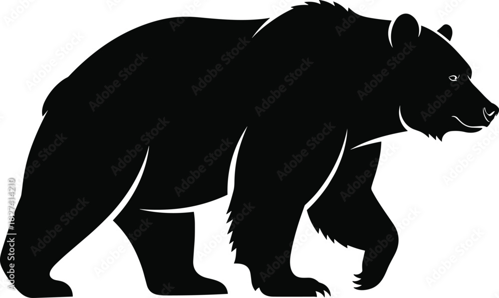 Naklejka premium Bear silhouette walking right, detailed wild animal shape, black forest creature, strong predator icon, nature illustration, white background, side profile