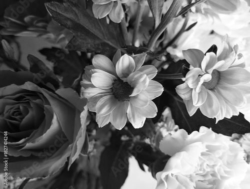 Black and white photo with bouquet of rose and daisies, top view.