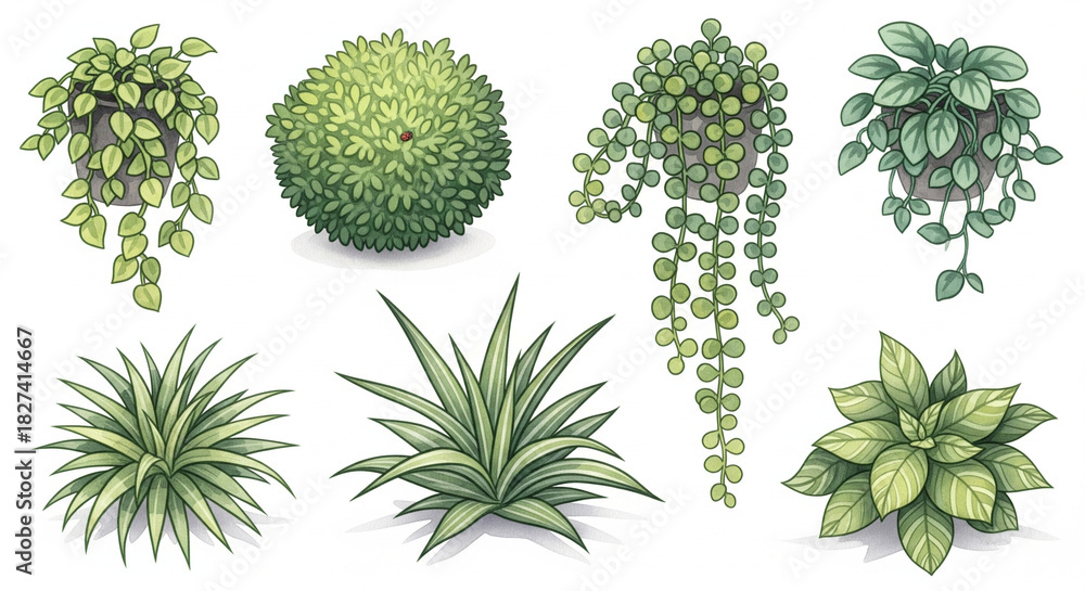 Naklejka premium Vibrant watercolor potted plants and greenery for a fresh botanical design, perfect for adding a natural touch to your project