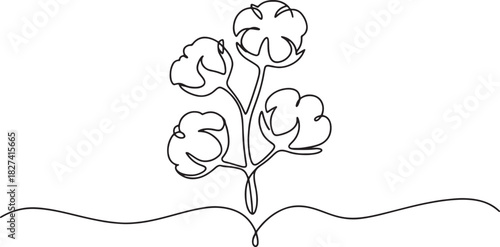 a cotton plant with bolls, perfect for themes of nature, agriculture, and organic textiles.
