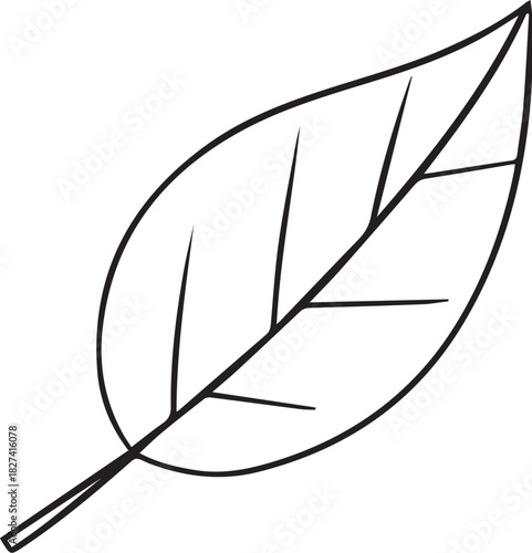 Black and white vector illustration of elliptical leaf with central vein and symmetrical branching structure