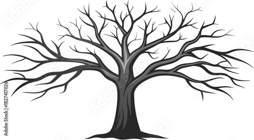 Bare deciduous tree silhouette with intricate branches against a white background