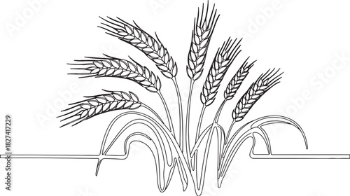 a bundle of wheat stalks with leaves.
