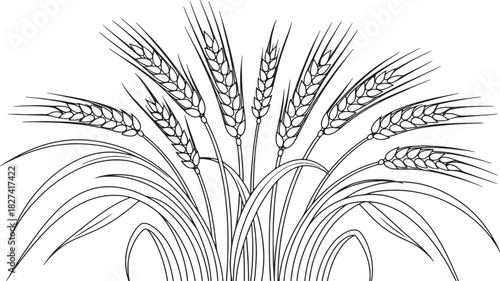Line art illustration of a bundle of wheat stalks with leaves.