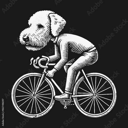 Whimsical illustration of an anthropomorphic poodle riding a bicycle.