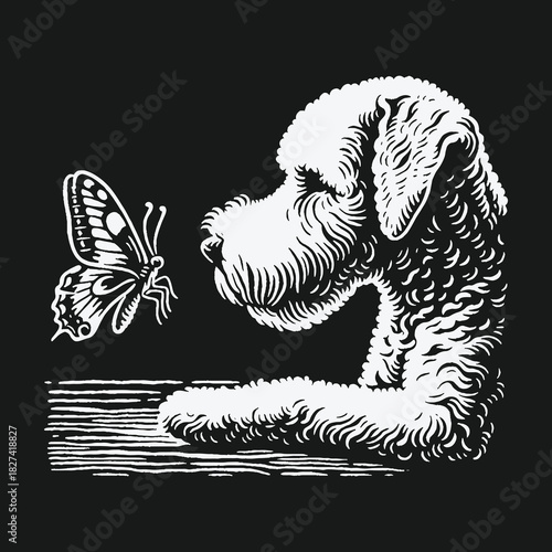 Black and white woodcut illustration of a curious shaggy dog watching a butterfly.