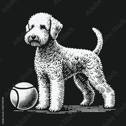 Classic black and white engraving of a Bedlington Terrier dog with a tennis ball.
