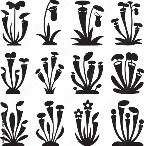 Carnivorous plants silhouettes set of exotic flora black and white vector