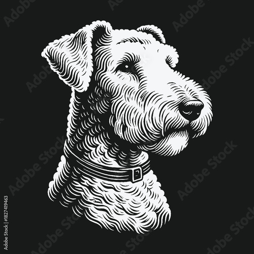 Black and white engraving style portrait of a terrier dog.