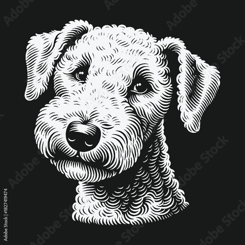 Detailed black and white engraving of a friendly terrier dog head.
