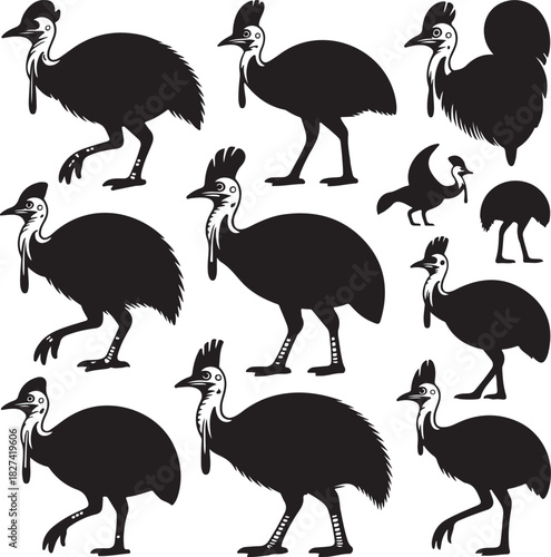 Cassowary Bird Silhouettes in a Pattern Design Black and White Backdrop
