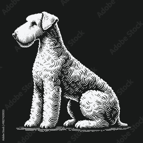 Classic black and white engraving of a sitting terrier dog.